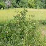 Nyaraló Masuria Orzysz