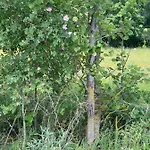 Nyaraló Masuria Orzysz