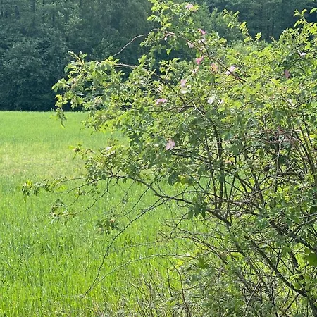 Masuria * Orzysz