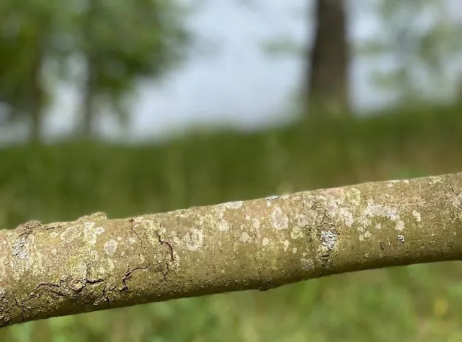 Dom wakacyjny Masuria