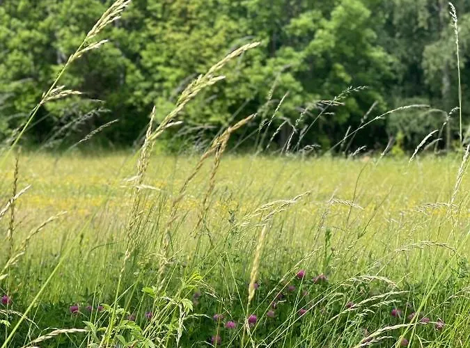 Masuria Dom wakacyjny