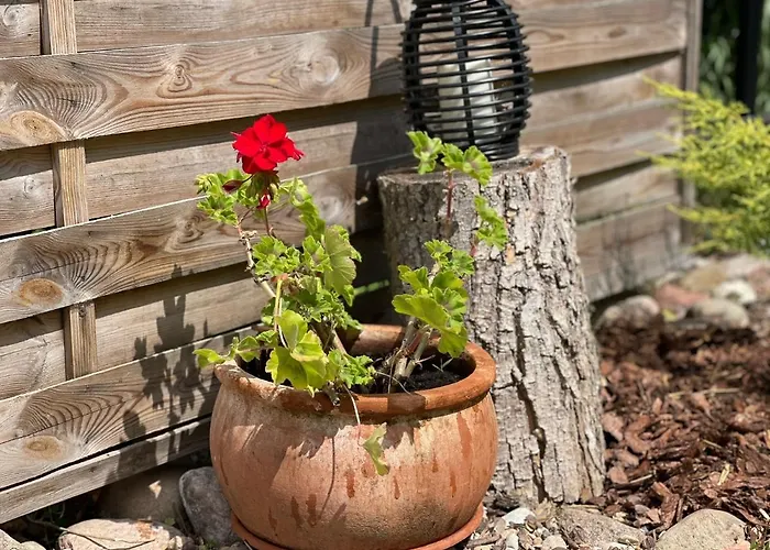 Masuria Dom wakacyjny *