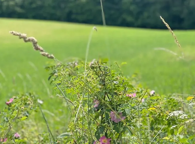 Masuria Dom wakacyjny