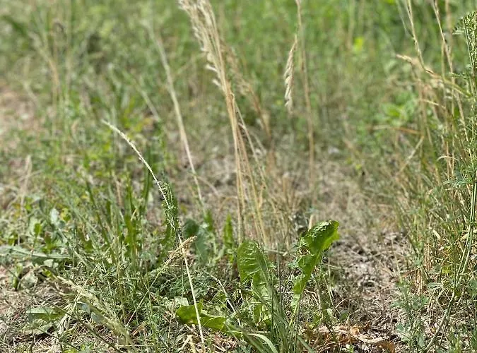 Masuria Dom wakacyjny *