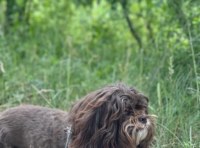 Masuria Dom wakacyjny